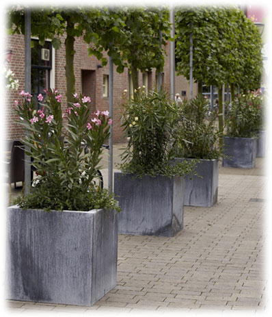 Décoration Domani